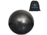 Eva & Elm Comet Anti-Burst Gym Ball Items launched in 2023